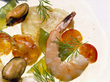 Fish and Seafood Jelly Photographic Print