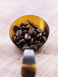 Roast Coffee Beans in a Spoon Photographic Print by John Hay