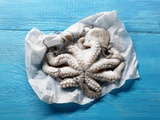 Octopus on Paper on Blue Painted Wooden Background Photographic Print by Klaus Arras