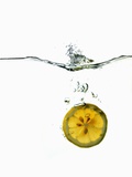 Slice of Lemon Falling into Water Photographic Print by Paul Blundell