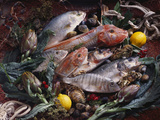 Still Life with Fish, Shellfish and Vegetables Photographic Print by Klaus P. Exner