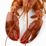 Detail of a Cooked Lobster Photographic Print by Alexander Feig
