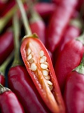 Red Thai Chillies Photographic Print by Greg Elms
