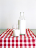 Glass and Bottle of Milk on Red and White Checked Fabric Photographic Print by Joerg Lehmann