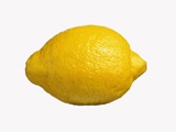 A Lemon Photographic Print by Bodo A. Schieren