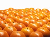 Mandarin Oranges in Rows Photographic Print by Michael Löffler