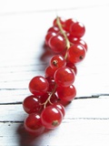 A Bunch of Redcurrants Photographic Print by Brigitte Wegner