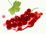 Redcurrants Photographic Print