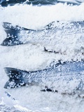 Two Bass in Salt Photographic Print by  Sporrer & Skowronek