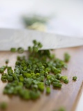 Chopping Chives Photographic Print