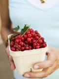 Hands Holding Cardboard Punnet of Redcurrants Photographic Print