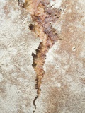 Rustic Bread Photographic Print