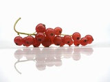 A Bunch of Redcurrants Photographic Print by Jean Gillis