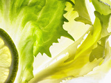 Endive with a Slice of Lime Photographic Print by Peter Rees
