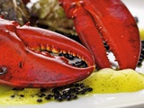 Lobster, Caviar and Oysters on Plate Photographie par Herbert Lehmann
