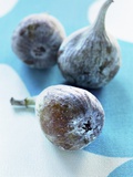 Three Fresh Figs Photographic Print by Dorota & Bogdan Bialy