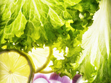 Lollo Biondo with Slices of Lemon and Onions Photographic Print by Peter Rees