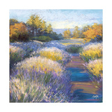 Lavendar 2 Posters by Amanda Houston