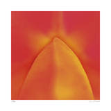 Orange Red Orchid Abstract Limited Edition by Shams Rasheed