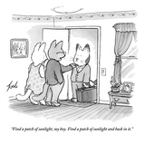 "Find a patch of sunlight, my boy. Find a patch of sunlight and bask in it - New Yorker Cartoon Premium Giclee Print by Tom Toro