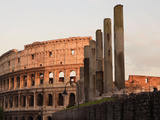 Colosseum, Rome, Italy Photographic Print by Manuel Cohen