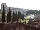 Colosseum, Rome, Italy Photographic Print by Manuel Cohen