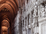 Chartres Cathedral, France Photographic Print by Manuel Cohen