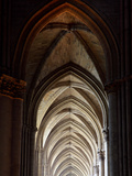 Notre Dame de Reims (Our Lady of Rheims), Champagne, France Photographic Print by Manuel Cohen