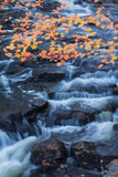 Fall Color and Flowing Brook Design Fotografie-Druck von Vincent James
