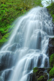 Scene at Fairytale Falls Photographic Print by Vincent James