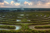 Scene at Kapalua Labyrinth Maui Photographie par Vincent James