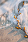 Late Light Beach Detail 2 Fotografie-Druck von Vincent James