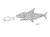 A shark is chased by a school of fish that has organized into the shape of… - New Yorker Cartoon Premium Giclee Print by David Sipress