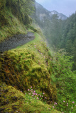 Along the Trail to Eagle Lake Photographic Print by Vincent James