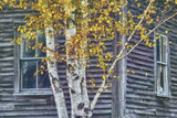 New Hampshire Cabin Detail Photographic Print by Vincent James