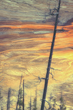 Grand Prismatic Detail Fotografie-Druck von Vincent James