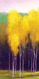 Spring Meadow Posters by Teri Jonas