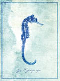 Seahorse B Print