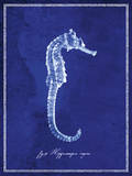 Seahorse Print