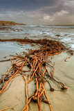 Beach Design and Seascape Photographie par Vincent James