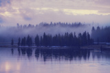Purple Morning Mist Fotografie-Druck von Vincent James