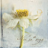 Cosmos II Posters by Thea Schrack