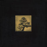 Bonsai Sacred Tree Prints