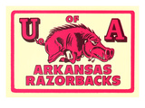 Arkansas Razorback Mascot Posters