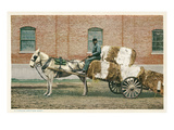 Cotton Cart Pulled by Horse Prints