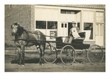 Horse, Buggy, Man, Dog Plakater Horse, Buggy, Man, Dog Plakater