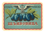 Label for Russian Grape Product Poster