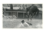 Cowboy Bucked Off Bronco, Montana Prints