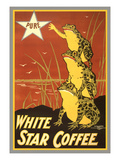 Frogs Reaching for Star Poster