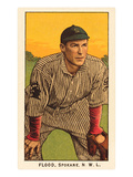 Early Baseball Card, Flood Prints